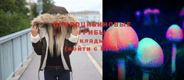 mdpv Володарск