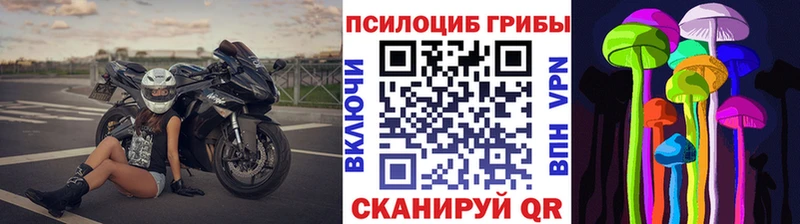 сколько стоит  Химки  Галлюциногенные грибы Cubensis 
